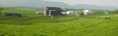 farm